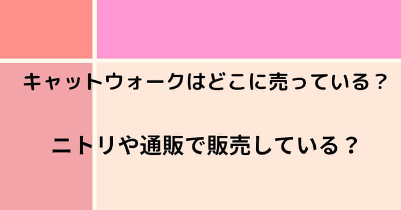 キャットウオーク見出し