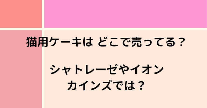 猫用ケーキはどこで売っている？