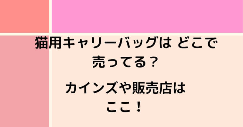 猫用キャリーバッグはどこで売っている？