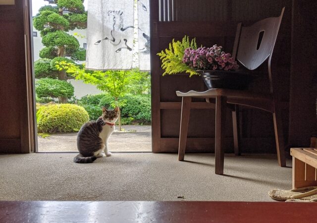 設置方法と準備