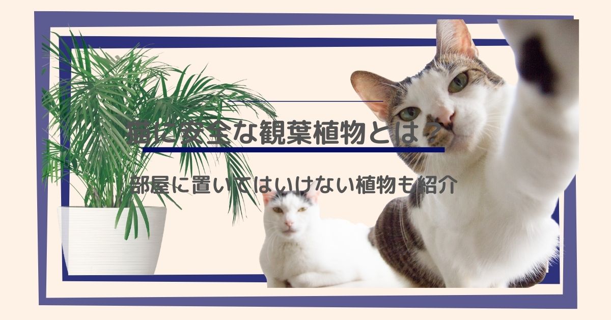 猫に安全な観葉植物とは？部屋に置いてはいけない植物も紹介