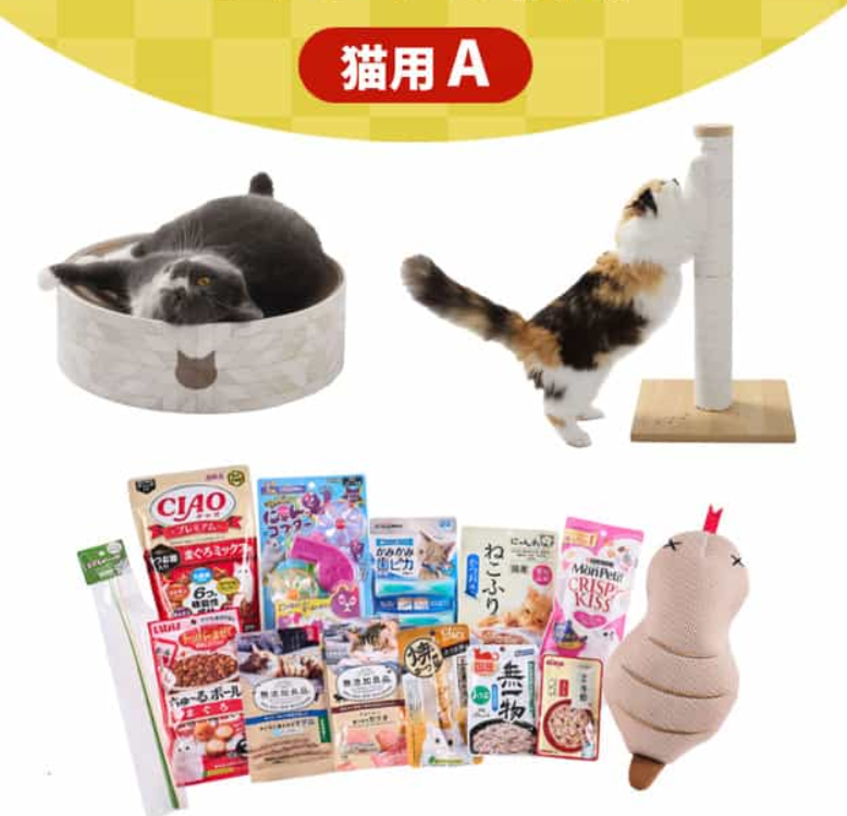 ぺテモ福袋2025A