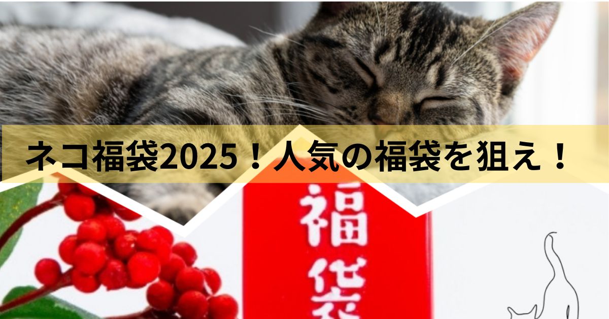 2025年福袋A