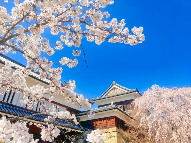 上田城と櫓と桜