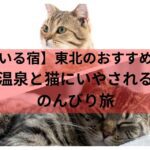 【猫がいる宿】東北のおすすめ５選！温泉と猫にいやされるのんびり旅