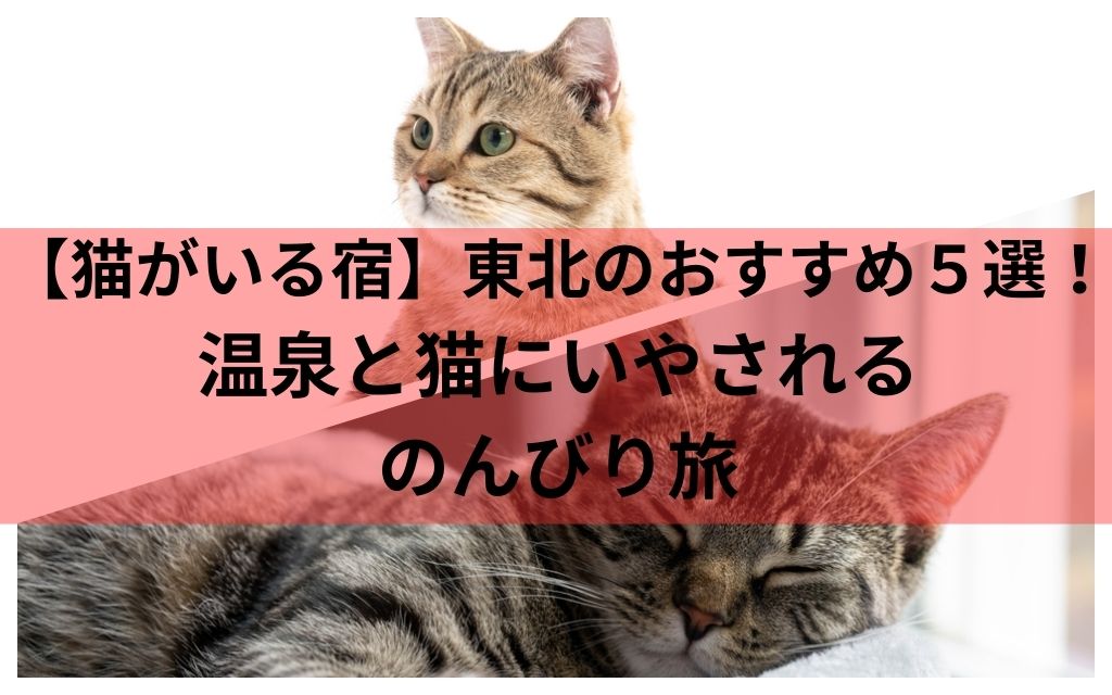 【猫がいる宿】東北のおすすめ５選！温泉と猫にいやされるのんびり旅