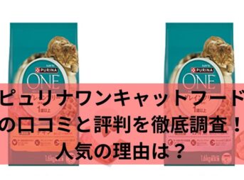 ピュリナワンキャットフードの口コミと評判を徹底調査！人気の理由は？