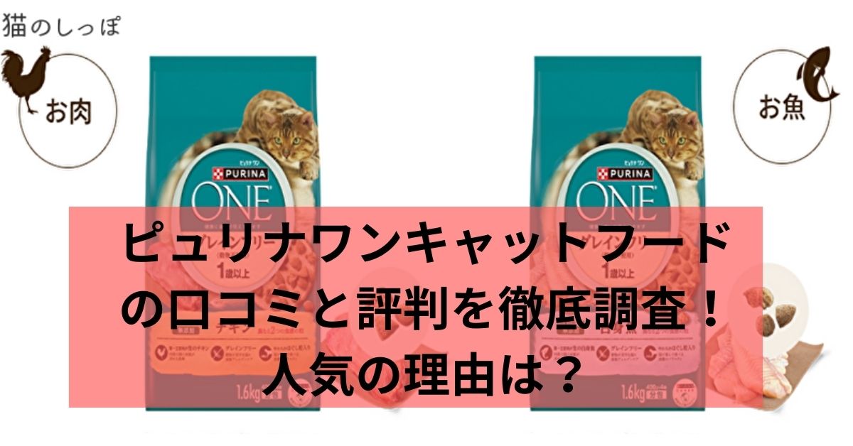 ピュリナワンキャットフードの口コミと評判を徹底調査！人気の理由は？