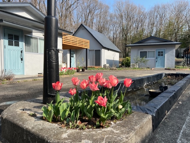 グランコテージ ベンガルの森とは