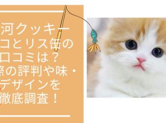 銀河クッキー ネコとリス缶の口コミは?実際の評判や味・デザインを徹底調査!