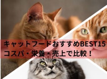 キャットフードおすすめBEST15｜コスパ・栄養・売上で比較！