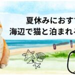 夏休みにおすすめ！海辺で猫と泊まれる宿10選｜絶景と癒しの旅を愛猫と一緒に