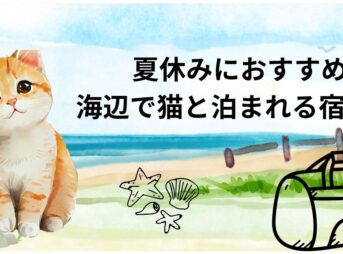 夏休みにおすすめ！海辺で猫と泊まれる宿10選｜絶景と癒しの旅を愛猫と一緒に