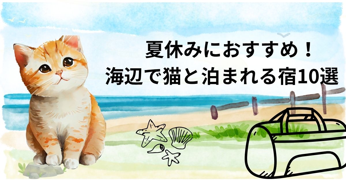 夏休みにおすすめ！海辺で猫と泊まれる宿10選｜絶景と癒しの旅を愛猫と一緒に