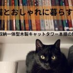 猫とおしゃれに暮らす！収納一体型木製キャットタワー本棚の魅力