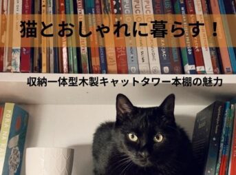 猫とおしゃれに暮らす！収納一体型木製キャットタワー本棚の魅力