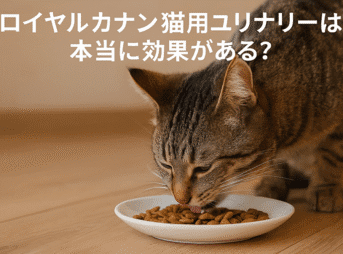 ロイヤルカナン猫用ユリナリーは本当に効果がある？口コミと特徴を徹底解説！