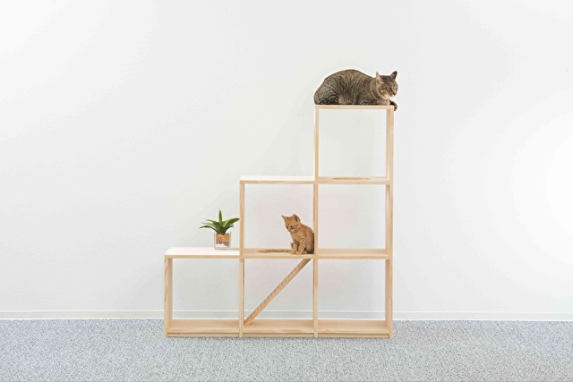 猫も人も快適！7つのメリット