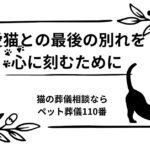 愛猫との最後の別れを心に刻むために｜猫の葬儀相談ならペット葬儀110番