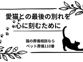 愛猫との最後の別れを心に刻むために｜猫の葬儀相談ならペット葬儀110番