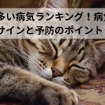 猫に多い病気ランキング！病気のサインと予防のポイント