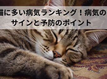 猫に多い病気ランキング！病気のサインと予防のポイント