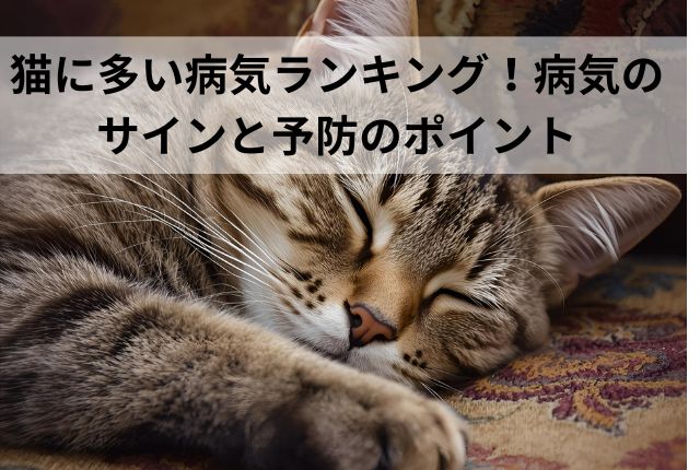 猫に多い病気ランキング！病気のサインと予防のポイント