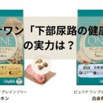 ピュリナワン「下部尿路の健康維持」の実力は？グレインフリーとの違いも徹底解説