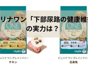 ピュリナワン「下部尿路の健康維持」の実力は？グレインフリーとの違いも徹底解説