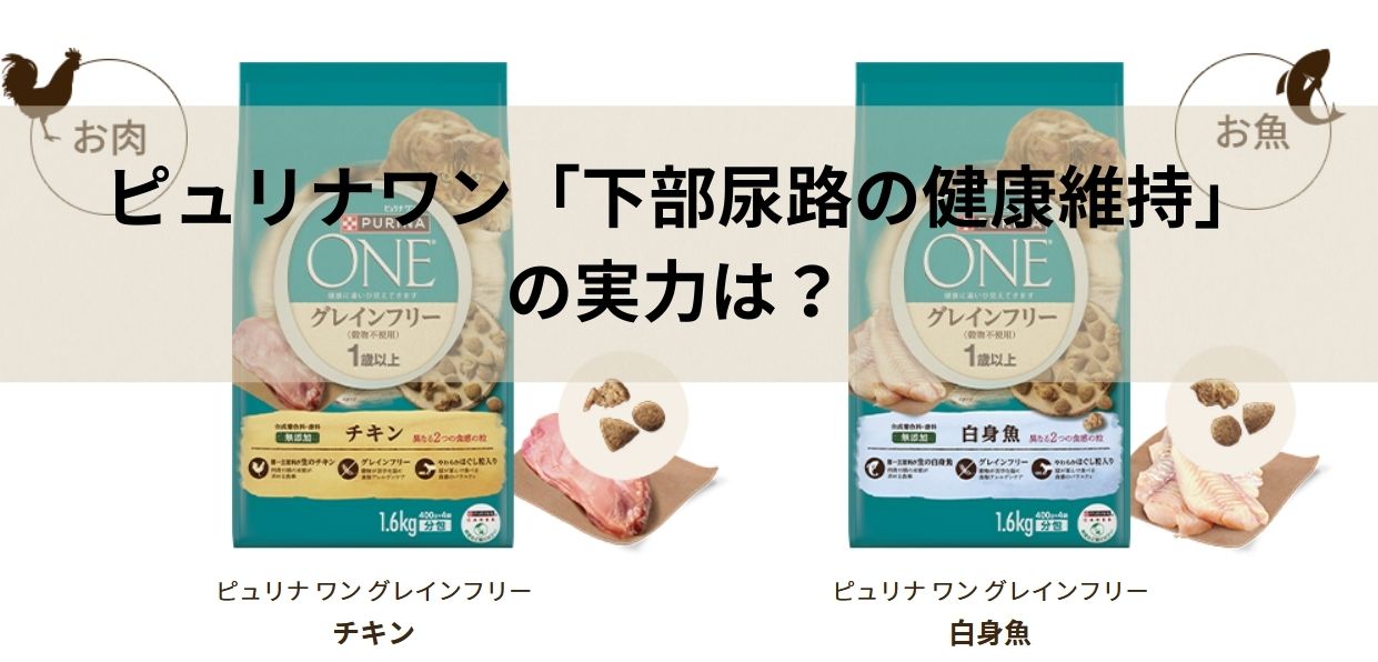 ピュリナワン「下部尿路の健康維持」の実力は？グレインフリーとの違いも徹底解説