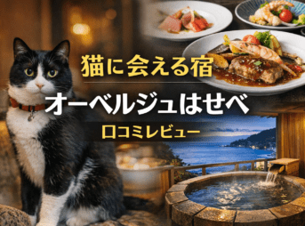 伊豆熱川 オーベルジュはせべ 看板猫と泊まれる宿